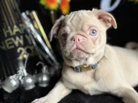 processed/90378634-9cde-4f4c-9452-e00c7d760745/listing/3f0d8d6e-51f6-4a60-8868-3e86ebb6b27c/0faac37a-213c-4eb9-97c7-33a3e41c0771