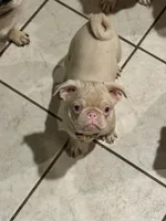 processed/90378634-9cde-4f4c-9452-e00c7d760745/listing/3f0d8d6e-51f6-4a60-8868-3e86ebb6b27c/21536ae5-41a1-4846-a034-75e256a43192