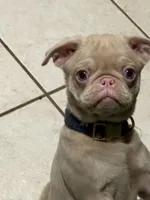 processed/90378634-9cde-4f4c-9452-e00c7d760745/listing/3f0d8d6e-51f6-4a60-8868-3e86ebb6b27c/52e15d4f-fe09-44b6-9838-ecfff57f719a