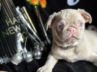 processed/90378634-9cde-4f4c-9452-e00c7d760745/listing/3f0d8d6e-51f6-4a60-8868-3e86ebb6b27c/5b87c699-4d20-44c9-aaed-af3eb5401528