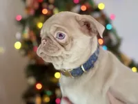 processed/90378634-9cde-4f4c-9452-e00c7d760745/listing/3f0d8d6e-51f6-4a60-8868-3e86ebb6b27c/e696821f-d21e-4d76-864d-9101a450e114