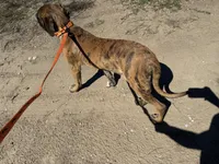 processed/90378634-9cde-4f4c-9452-e00c7d760745/listing/809a3a9b-5995-4ed3-8d0e-3dbceb3e2334/11be420c-90b1-45a3-87c6-85f86abe56a4