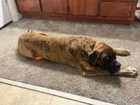 processed/90378634-9cde-4f4c-9452-e00c7d760745/listing/809a3a9b-5995-4ed3-8d0e-3dbceb3e2334/98eda4d6-190e-4195-b181-be29d711d7dd