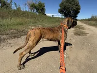 processed/90378634-9cde-4f4c-9452-e00c7d760745/listing/809a3a9b-5995-4ed3-8d0e-3dbceb3e2334/a06adfc5-17cb-40ff-ad6e-45a77a7ebdd7