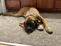 processed/90378634-9cde-4f4c-9452-e00c7d760745/listing/809a3a9b-5995-4ed3-8d0e-3dbceb3e2334/bf6d7df2-4c85-492a-9891-575be635d0f1