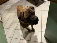 processed/90378634-9cde-4f4c-9452-e00c7d760745/listing/809a3a9b-5995-4ed3-8d0e-3dbceb3e2334/c8316045-31d0-49d0-acf6-bdf1e7e18ee6