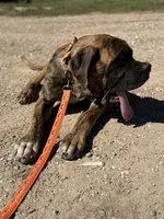 processed/90378634-9cde-4f4c-9452-e00c7d760745/listing/809a3a9b-5995-4ed3-8d0e-3dbceb3e2334/d309dcb3-0078-4510-babd-b339010f76e9