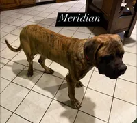 processed/90378634-9cde-4f4c-9452-e00c7d760745/listing/809a3a9b-5995-4ed3-8d0e-3dbceb3e2334/dd5128cd-25ad-4bdd-bc91-448e7f8c4e2d