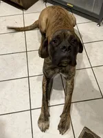 processed/90378634-9cde-4f4c-9452-e00c7d760745/listing/809a3a9b-5995-4ed3-8d0e-3dbceb3e2334/df81a51c-ad16-459d-bd81-397fa58b3f0d