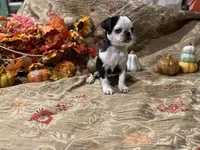 processed/90378634-9cde-4f4c-9452-e00c7d760745/listing/9e078a74-1565-4ada-846c-97bc7c9b2ee8/16813030-c3cf-488a-8e69-7919c0d3a57f