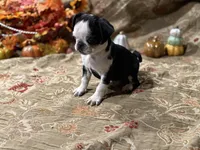 processed/90378634-9cde-4f4c-9452-e00c7d760745/listing/9e078a74-1565-4ada-846c-97bc7c9b2ee8/1a45e7dc-1898-4a1e-b26a-5becc90749cb