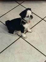 processed/90378634-9cde-4f4c-9452-e00c7d760745/listing/9e078a74-1565-4ada-846c-97bc7c9b2ee8/405e78bd-ab19-44da-96b2-e59e345a7544