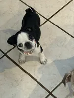 processed/90378634-9cde-4f4c-9452-e00c7d760745/listing/9e078a74-1565-4ada-846c-97bc7c9b2ee8/8c25af41-8cb8-4837-81c0-d4c45c4e39c2