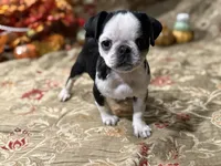 processed/90378634-9cde-4f4c-9452-e00c7d760745/listing/9e078a74-1565-4ada-846c-97bc7c9b2ee8/c3cbf83a-f05b-43a0-a809-a13e9a0c2172