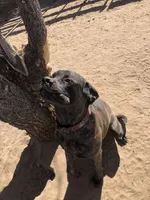 processed/90378634-9cde-4f4c-9452-e00c7d760745/listing/dc6095f1-4d00-4d3e-95ce-346bfef60fa5/047a082a-fac8-4e89-8f31-c9abeb3d5fd7