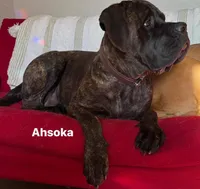 processed/90378634-9cde-4f4c-9452-e00c7d760745/listing/dc6095f1-4d00-4d3e-95ce-346bfef60fa5/09c2e44f-94b3-413e-8468-1f613fbcb9da