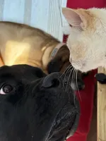 processed/90378634-9cde-4f4c-9452-e00c7d760745/listing/dc6095f1-4d00-4d3e-95ce-346bfef60fa5/14785ad9-8a7f-4649-aa5e-d997a3fce5bc