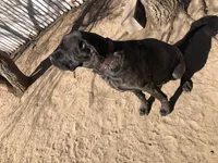 processed/90378634-9cde-4f4c-9452-e00c7d760745/listing/dc6095f1-4d00-4d3e-95ce-346bfef60fa5/80e24476-d84b-4099-8682-d6843bf77a11