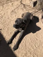 processed/90378634-9cde-4f4c-9452-e00c7d760745/listing/dc6095f1-4d00-4d3e-95ce-346bfef60fa5/a5252908-59ea-45f0-bc83-f965db1f45ad