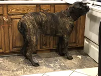 processed/90378634-9cde-4f4c-9452-e00c7d760745/listing/dc6095f1-4d00-4d3e-95ce-346bfef60fa5/ca9a9d8f-9a1f-4163-9d5a-1aced916c06d