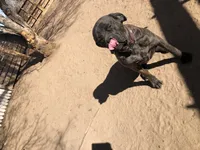 processed/90378634-9cde-4f4c-9452-e00c7d760745/listing/dc6095f1-4d00-4d3e-95ce-346bfef60fa5/e4fe3ee7-145f-4c11-968b-bced96f8c43e