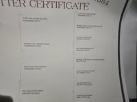 Male 1 MB, a male Rottweiler for sale in Merrillville, IN – Photo 2 of 2