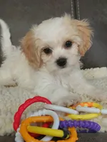 processed/9042f664-aebf-46c1-b6ff-ff72e6510598/listing/631f7a1b-8c5b-4f04-ade3-60def89e9c63/48994195-25d7-4914-98cb-869730377e0f