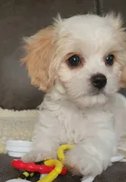 processed/9042f664-aebf-46c1-b6ff-ff72e6510598/listing/631f7a1b-8c5b-4f04-ade3-60def89e9c63/8849a5bf-2292-4564-9d29-d1d5ec8379f2