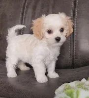 processed/9042f664-aebf-46c1-b6ff-ff72e6510598/listing/631f7a1b-8c5b-4f04-ade3-60def89e9c63/b5c33939-9348-4235-a4ba-ca77a1185dd3