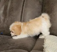 processed/9042f664-aebf-46c1-b6ff-ff72e6510598/listing/c258f6ec-a6b1-4181-8d38-4d775b119725/0384823e-fcc1-468c-937f-6fce0d401979