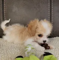 processed/9042f664-aebf-46c1-b6ff-ff72e6510598/listing/c258f6ec-a6b1-4181-8d38-4d775b119725/514bc221-28df-47d3-8262-60b7b5a6ac4b