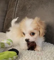 processed/9042f664-aebf-46c1-b6ff-ff72e6510598/listing/c258f6ec-a6b1-4181-8d38-4d775b119725/66b87808-e84a-460c-9e8a-2d1d4daefc2f