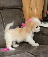 processed/9042f664-aebf-46c1-b6ff-ff72e6510598/listing/c258f6ec-a6b1-4181-8d38-4d775b119725/c9b2ee0b-5b42-4818-8a08-8b7cf8159083