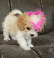 processed/9042f664-aebf-46c1-b6ff-ff72e6510598/listing/c258f6ec-a6b1-4181-8d38-4d775b119725/d07eab6a-b81f-4428-a881-e131ad7c3c29