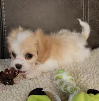 processed/9042f664-aebf-46c1-b6ff-ff72e6510598/listing/c258f6ec-a6b1-4181-8d38-4d775b119725/e41b7a36-f37a-4491-b24b-c9a683cf06c6