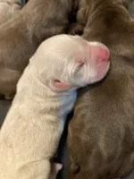 processed/905c2b7d-6fe3-4e10-9be2-a37159911172/listing/dbbd2b9c-5732-4da5-b1e7-000a54febad6/cf31c5d1-01a1-4810-b00d-46e6c8944312