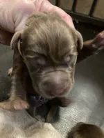 processed/905c2b7d-6fe3-4e10-9be2-a37159911172/listing/fbd23e5d-609b-4ad6-8821-f739146c246b/62ac613a-2459-461f-8e05-94af05a6ac38