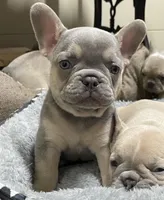 processed/905cc4b9-4718-4273-9c43-f33b1e6effaf/listing/98235104-7d1b-4181-9ba2-7f4dc0bf4e39/05bf2939-d7ee-4809-8d8c-65f9e03fd88f