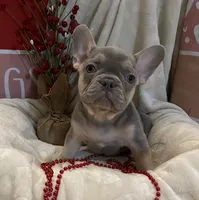 processed/905cc4b9-4718-4273-9c43-f33b1e6effaf/listing/98235104-7d1b-4181-9ba2-7f4dc0bf4e39/10a6b5ba-bac9-4d86-8404-9491adb52ecd