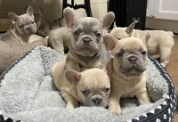 processed/905cc4b9-4718-4273-9c43-f33b1e6effaf/listing/98235104-7d1b-4181-9ba2-7f4dc0bf4e39/3fbd836f-c087-4af9-ad89-8c2094f4d144