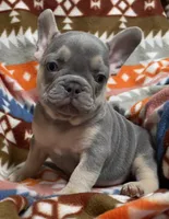 processed/905cc4b9-4718-4273-9c43-f33b1e6effaf/listing/98235104-7d1b-4181-9ba2-7f4dc0bf4e39/4709cb7a-b9f3-45e5-a7d6-ab36a2233fe6