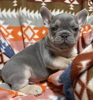 processed/905cc4b9-4718-4273-9c43-f33b1e6effaf/listing/98235104-7d1b-4181-9ba2-7f4dc0bf4e39/acac7432-60c1-40c7-9f88-87a3382d1e1b