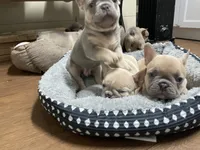 processed/905cc4b9-4718-4273-9c43-f33b1e6effaf/listing/98235104-7d1b-4181-9ba2-7f4dc0bf4e39/d9c4b8e0-0ed1-487d-99c9-c1ef329b5b8b