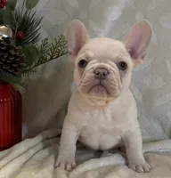 processed/905cc4b9-4718-4273-9c43-f33b1e6effaf/listing/c140bca3-5df5-474e-ae54-5860e225e434/616bacde-f9aa-4dab-8a8c-43ed1c43f60c