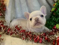 processed/905cc4b9-4718-4273-9c43-f33b1e6effaf/listing/c140bca3-5df5-474e-ae54-5860e225e434/70c0f426-d5b7-476c-90bb-f6d9dedac9fa