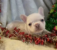 processed/905cc4b9-4718-4273-9c43-f33b1e6effaf/listing/c140bca3-5df5-474e-ae54-5860e225e434/7cd1013e-326d-4894-9682-afbc9400d9c7