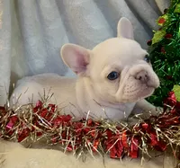 processed/905cc4b9-4718-4273-9c43-f33b1e6effaf/listing/c140bca3-5df5-474e-ae54-5860e225e434/b4a49b02-733f-48f1-96c9-a37e4a14d943