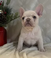 processed/905cc4b9-4718-4273-9c43-f33b1e6effaf/listing/c140bca3-5df5-474e-ae54-5860e225e434/df79c92e-c4fc-4729-94cd-6c8f9a5234c3