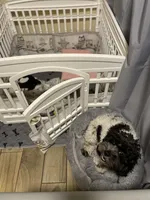 processed/90665de1-d4cc-4e6d-87e6-ddce931c6059/facility/0856a33a-efe4-44ca-9216-ff76f432fb0c