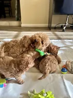 processed/90665de1-d4cc-4e6d-87e6-ddce931c6059/facility/283f42e0-85c7-428d-ba0d-c8bf97d7000d